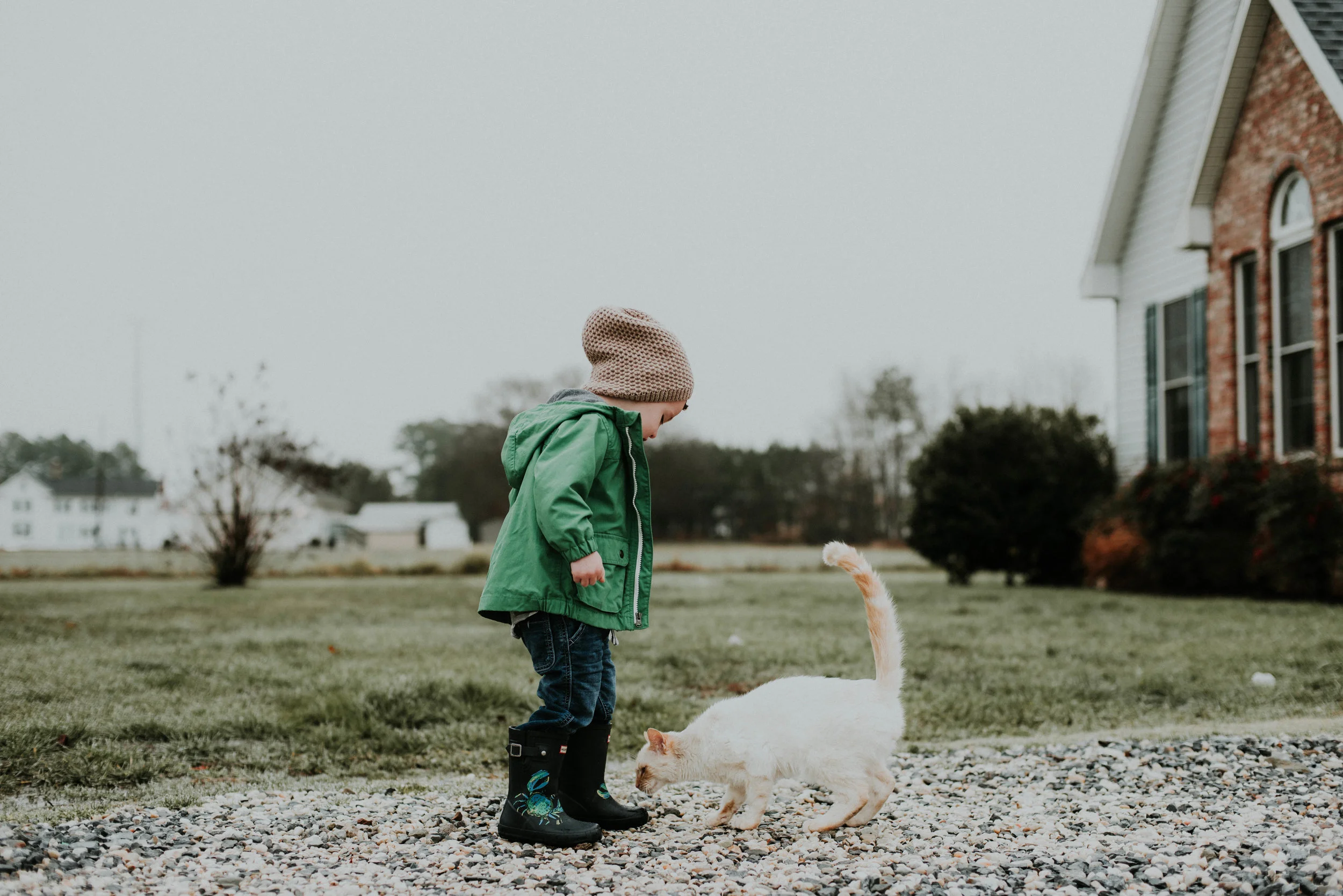 Project 365 | Week 1