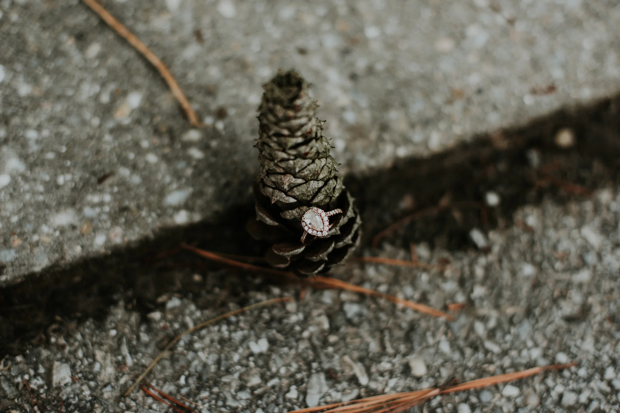 DSC_8298.jpg