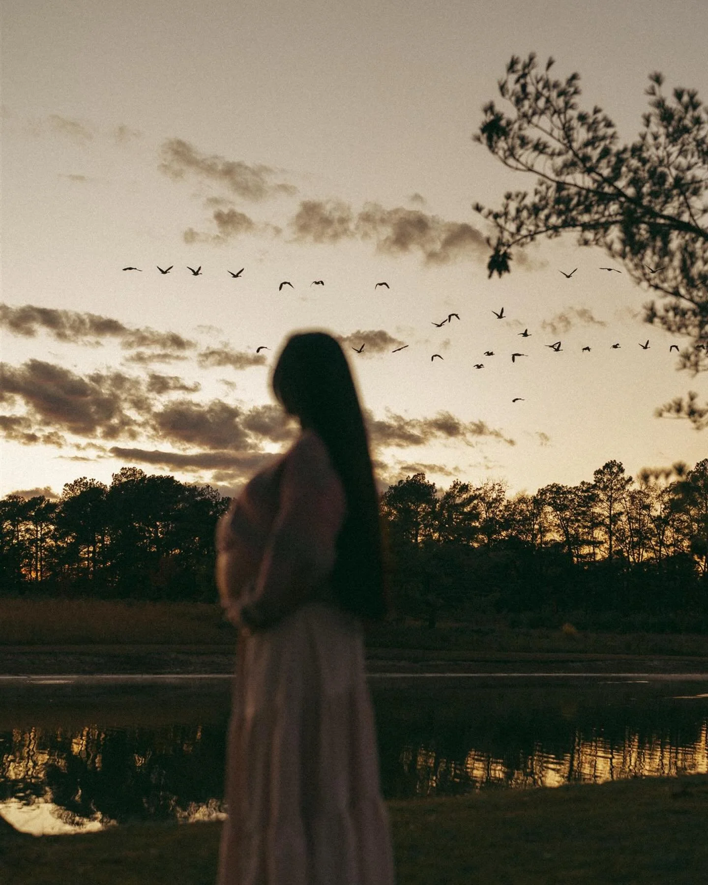 Looooove this time of year 🍂 and a baby bump, and proud excited big siblings 🥹🤍