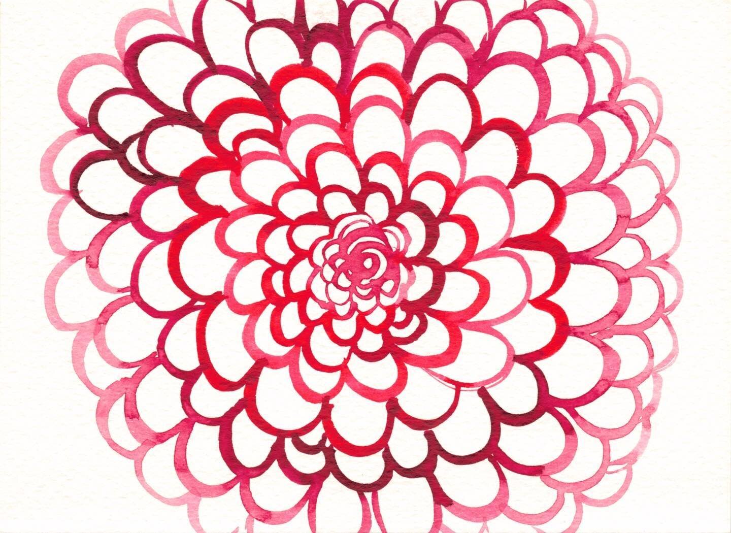 Happy Valentine&rsquo;s Day! 

#zinnia #watercolor #arosebyanyothername #loveisintheair #pink #handmadevalentines #mailingvalentines #paintingflowers #roundandround #klythefly