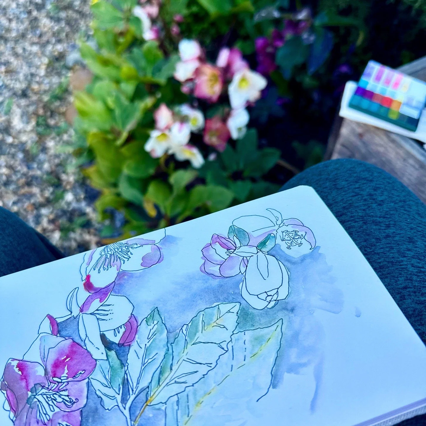 Hellebores for healing.

This is my meditation and system reset: backyard observation of the infinite garden growth and cycles. It always brings me into the present and in touch with wonder and gratitude no matter what is happening in the greater wor