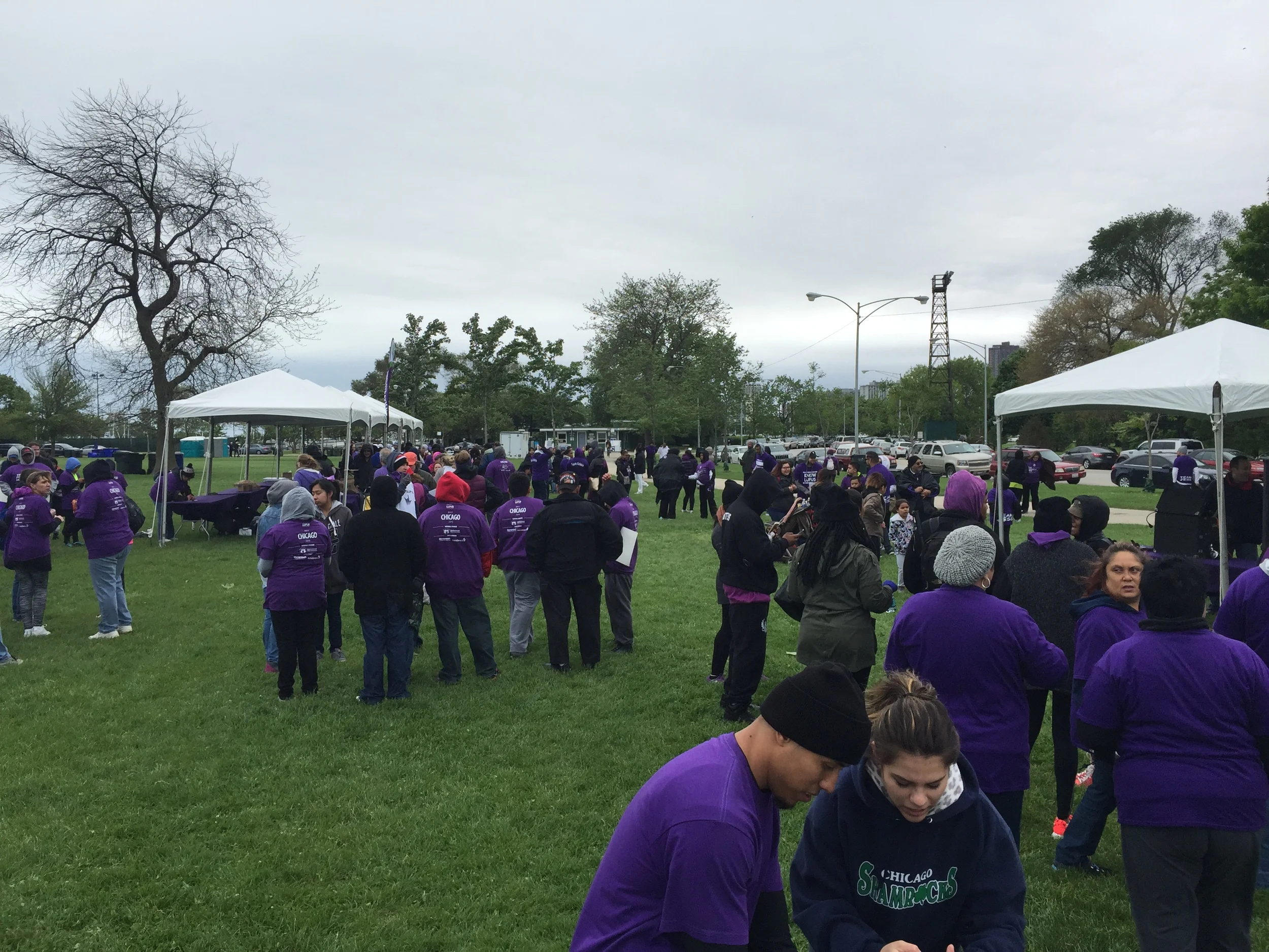 A sea of purple.