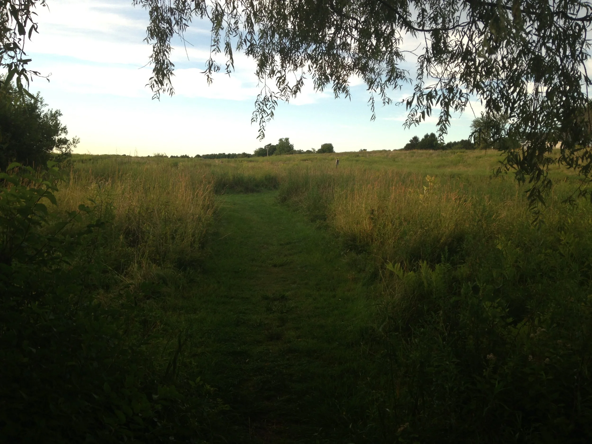 Trail.JPG