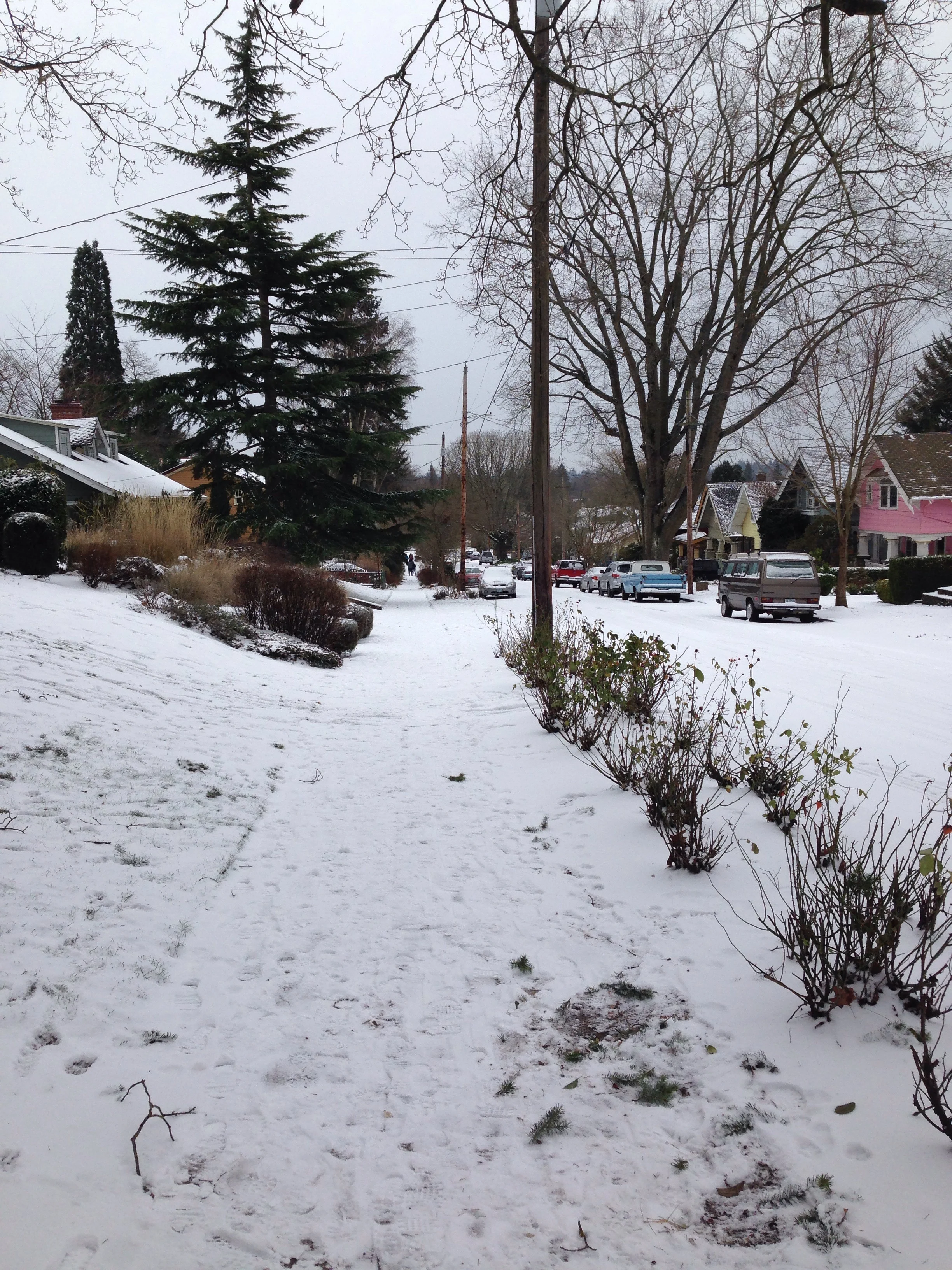 The streets of our home office in Portland, Oregon January 4th, 2016