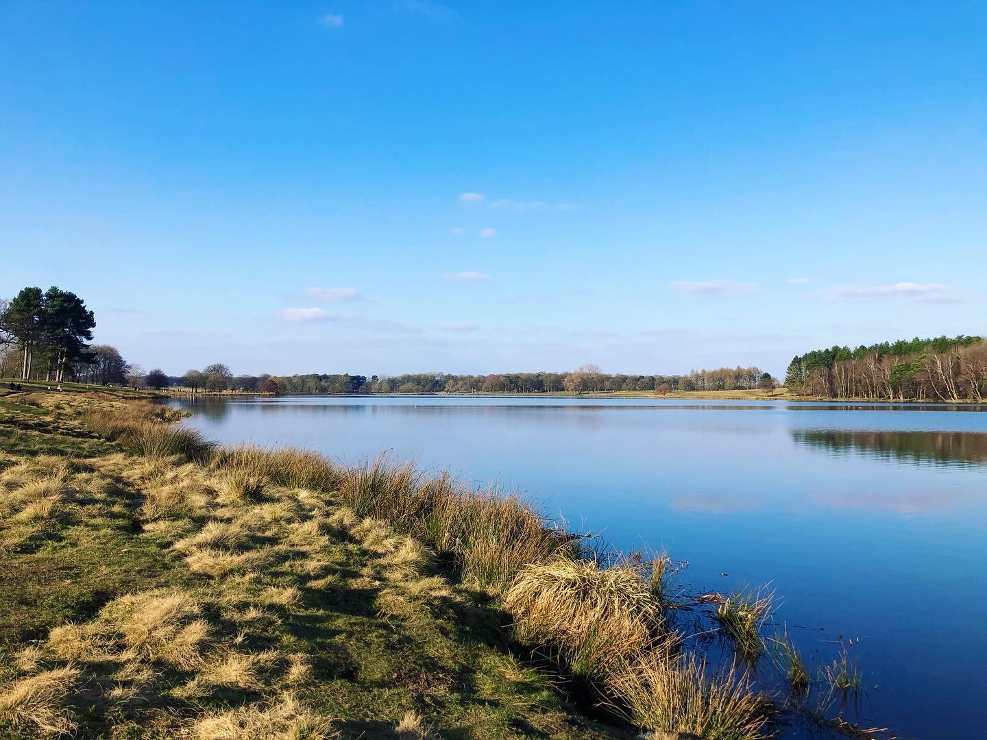Tatton park was an absolute spring dream this avo!