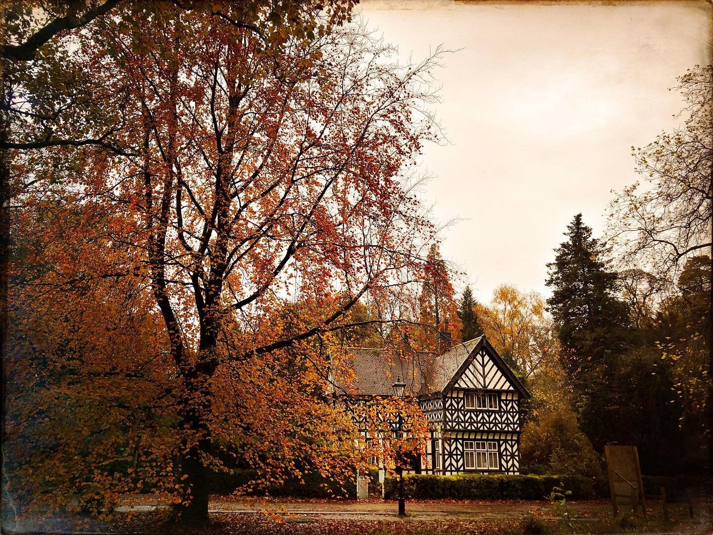 Autumn 🍂