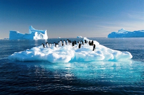 penguins-antarctic.jpg