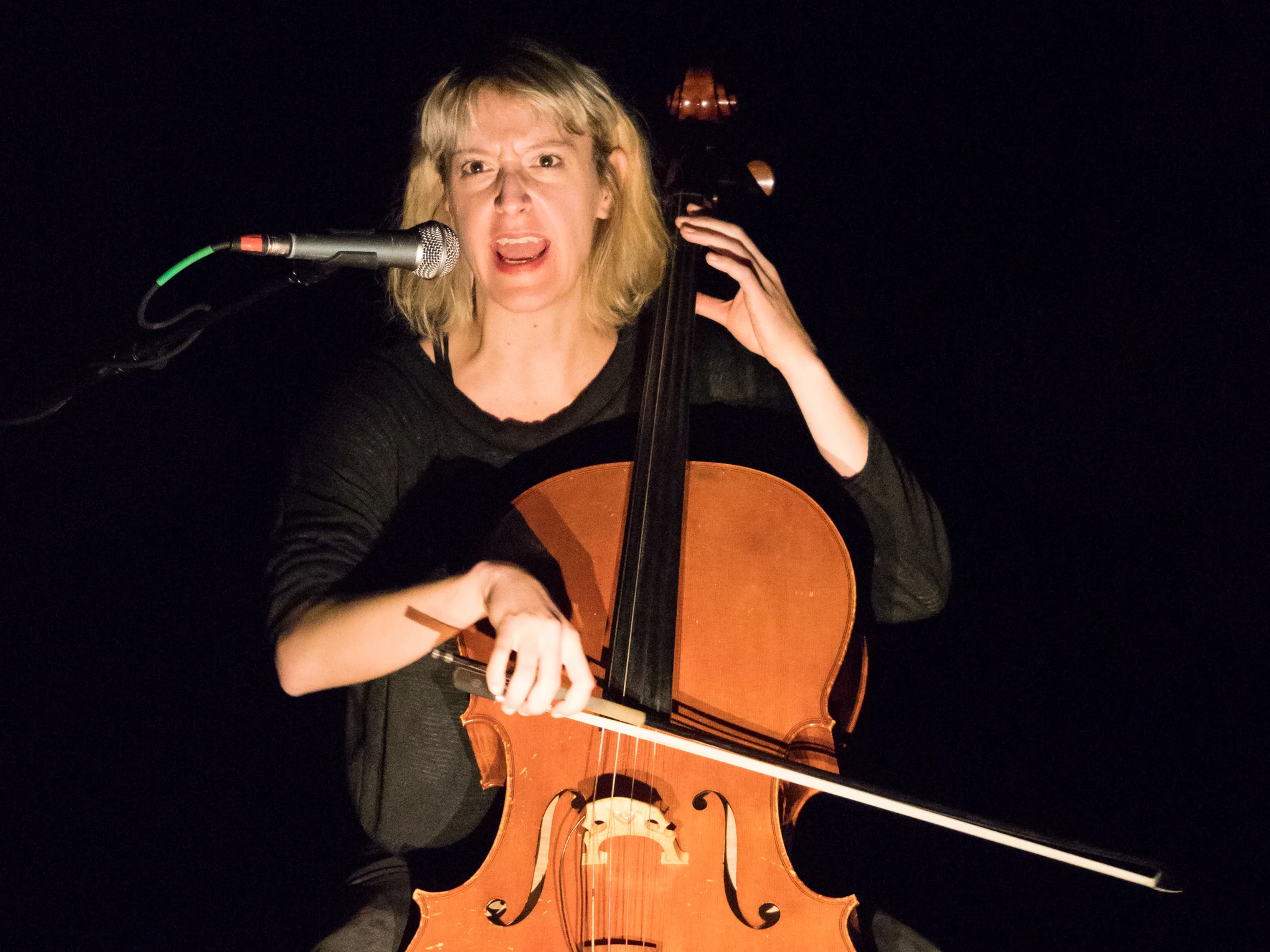 P1040802-2.jpg