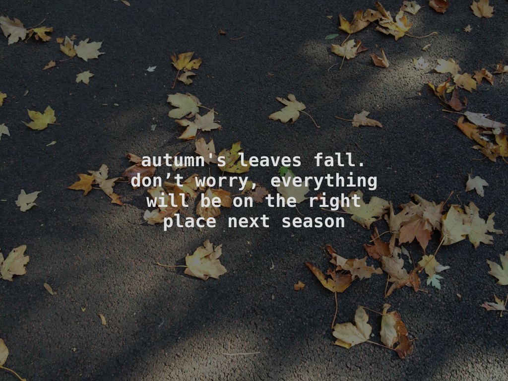leaves.001.jpeg