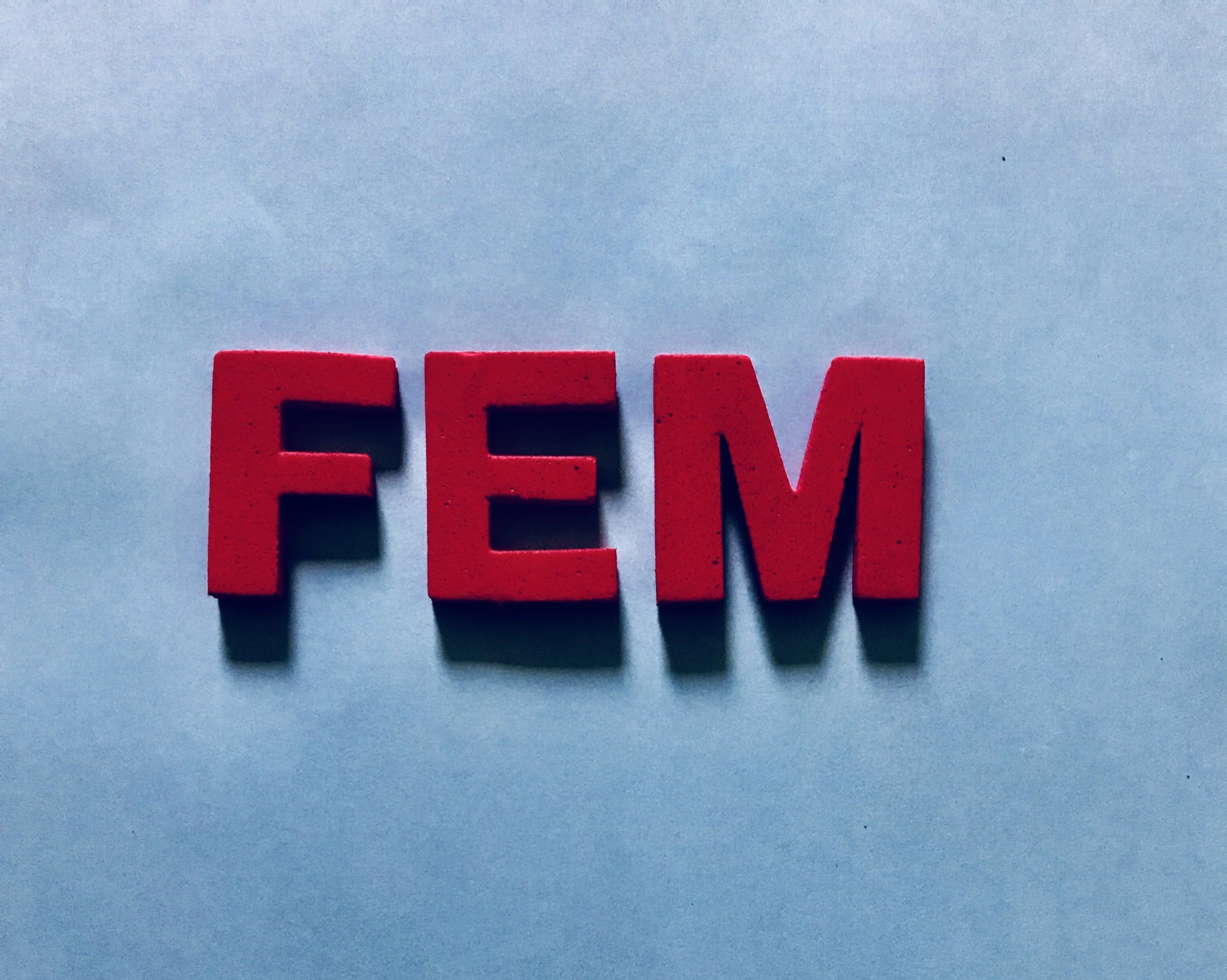 FEM_thumb.jpg