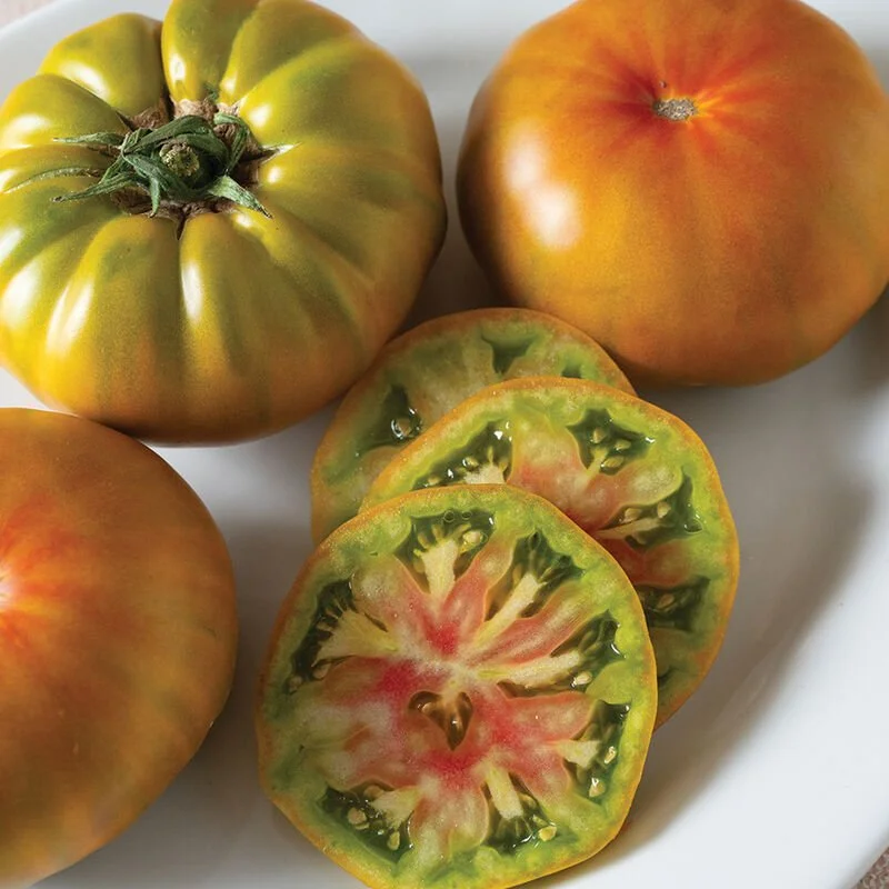 04503g_01_woodstock_tomato.jpg