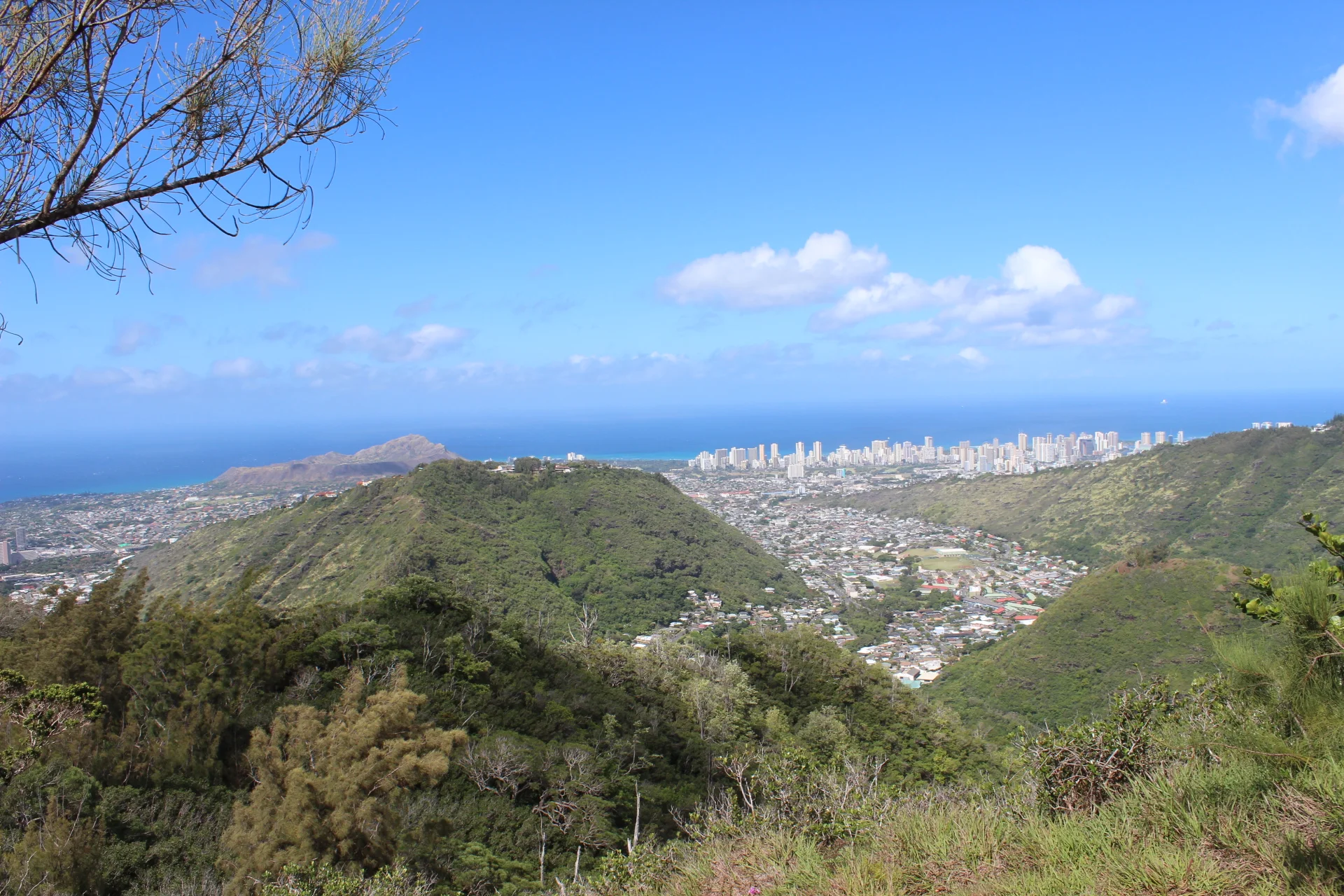 South Oahu SWCD Meeting