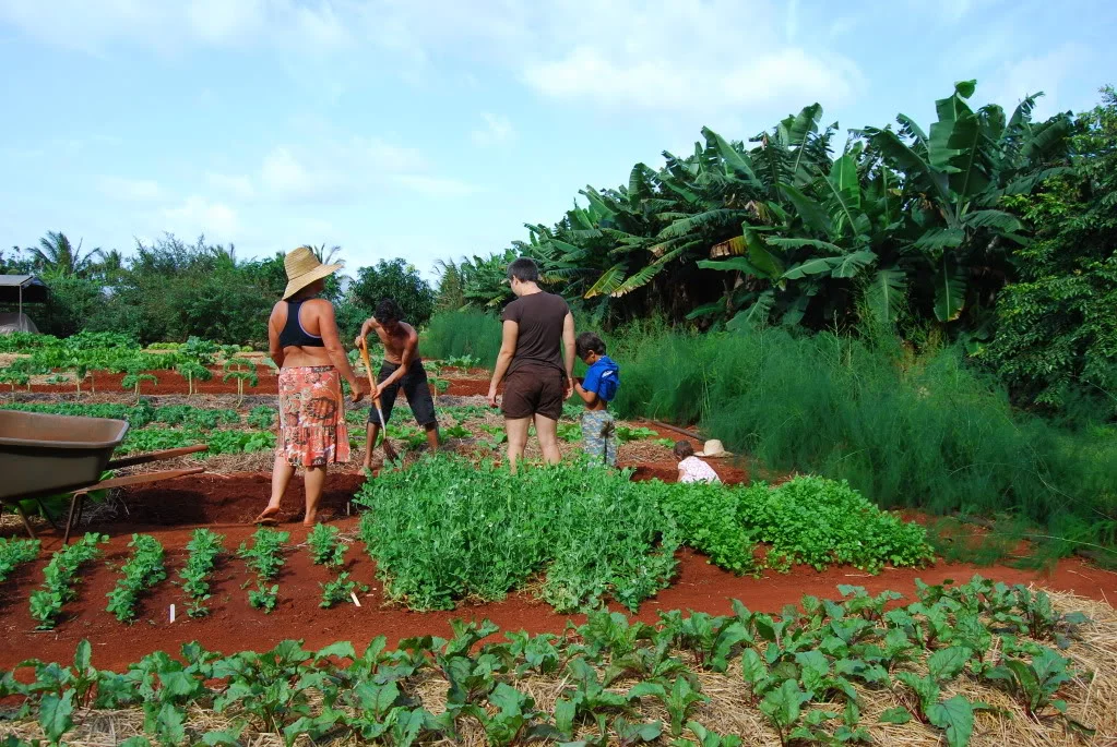  SWCD works with farmers and conservationists from all backgrounds and systems 