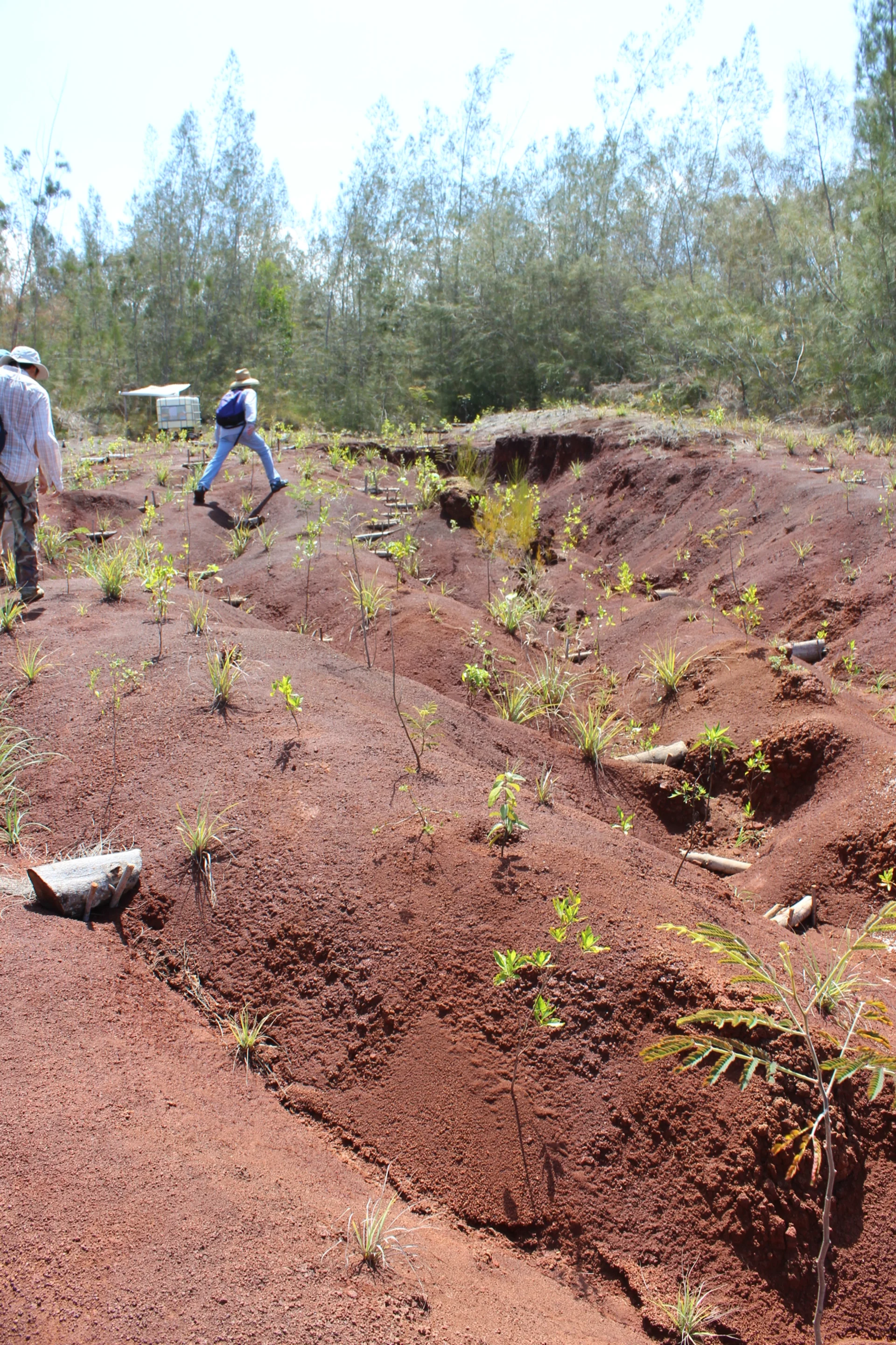  SWCD works with conservationists to liaison into NRCS contracts for conservation work 