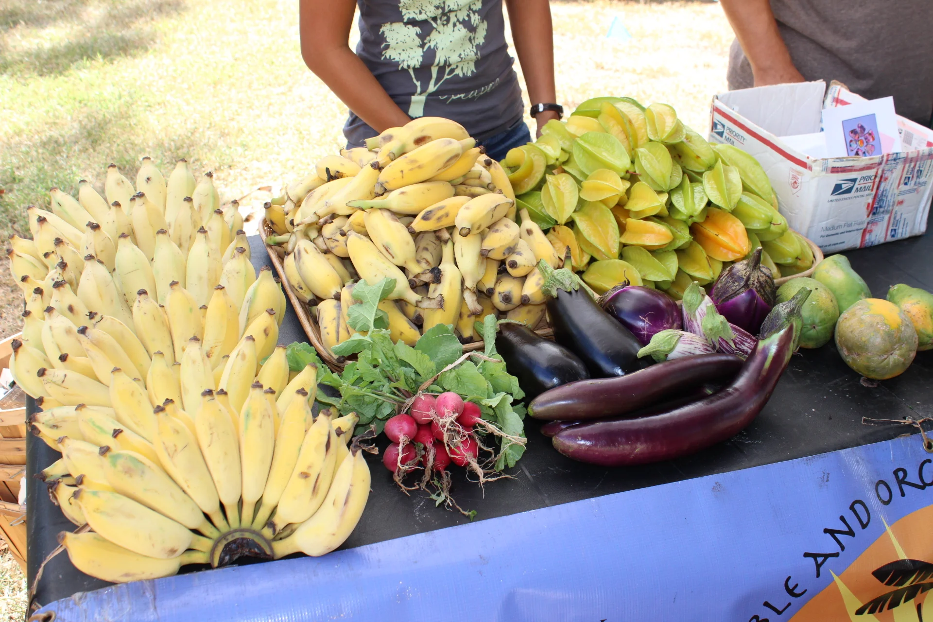  SWCD supports a ag diversity and creative ag business 