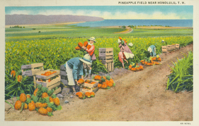 Post card: ca 1935-- UH library "aloha hawaii scrapbook"