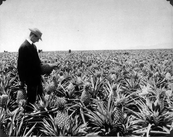 "James D Dole" ca 1900- UH Library "hawaiian photo album"