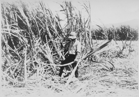 CA 1926-uh library "hawaiian photo album"