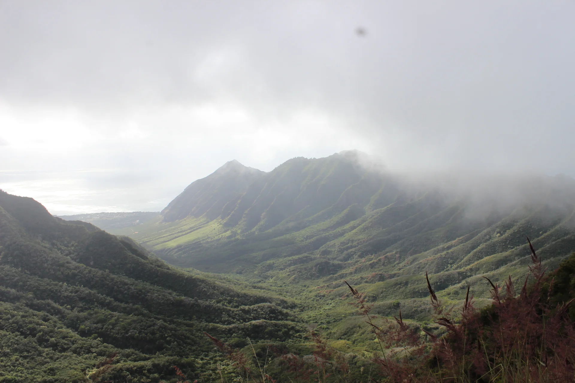 West Oahu SWCD Meeting
