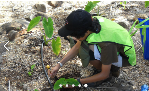 Seeds for Tomorrow (HARC)