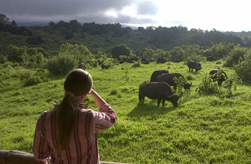 rhino lodge.jpg