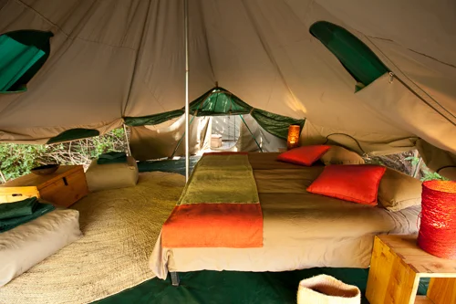 green_camp-5.jpg