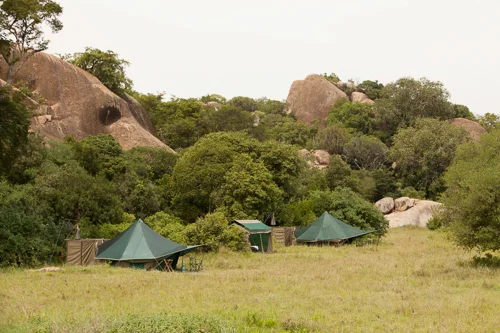 green_camp-34.jpg