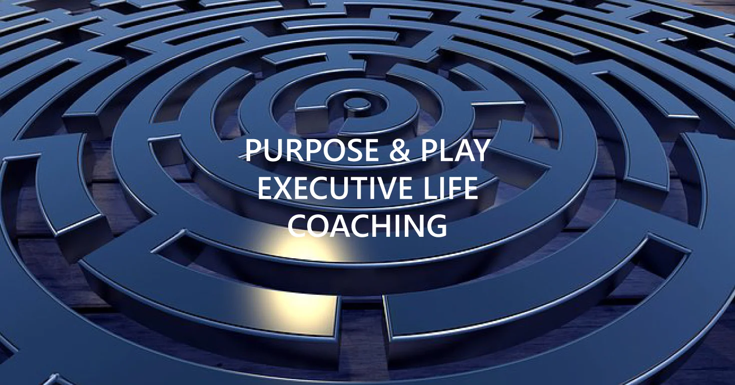 purpose&play3.jpg