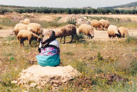 A Gentle Bullet in Your Head