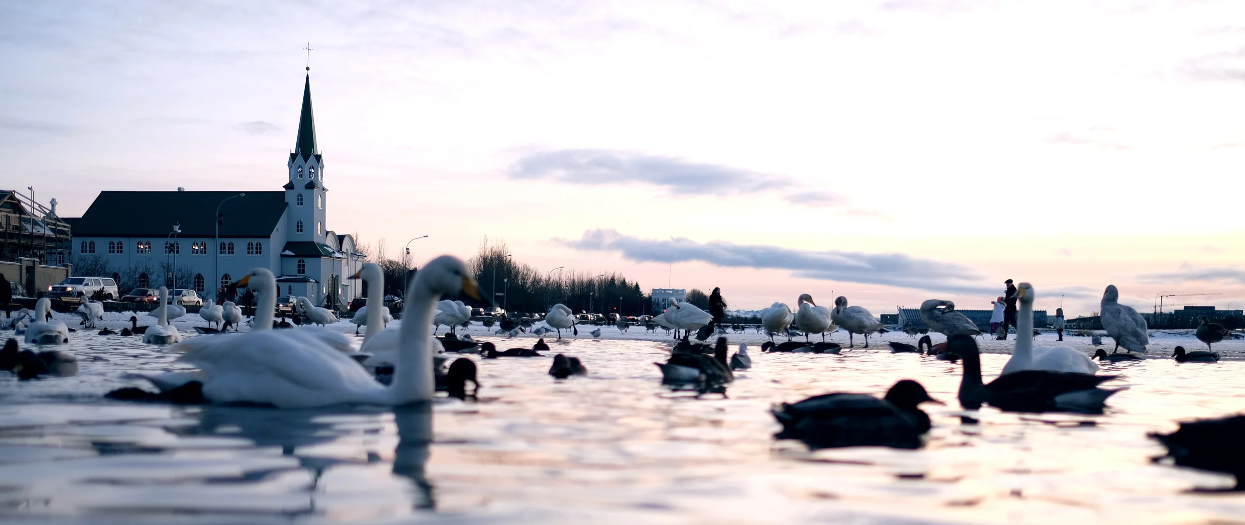 Team PoP goes to Iceland