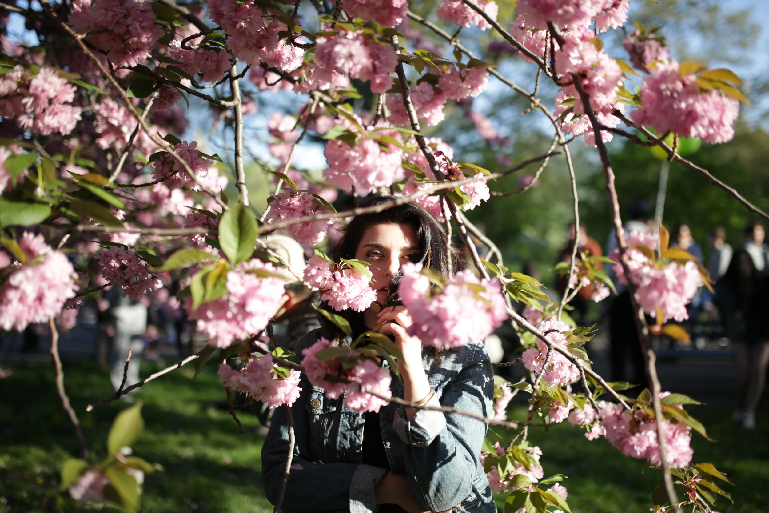 POP'S GUIDE TO HOSTING AN INSTAMEET