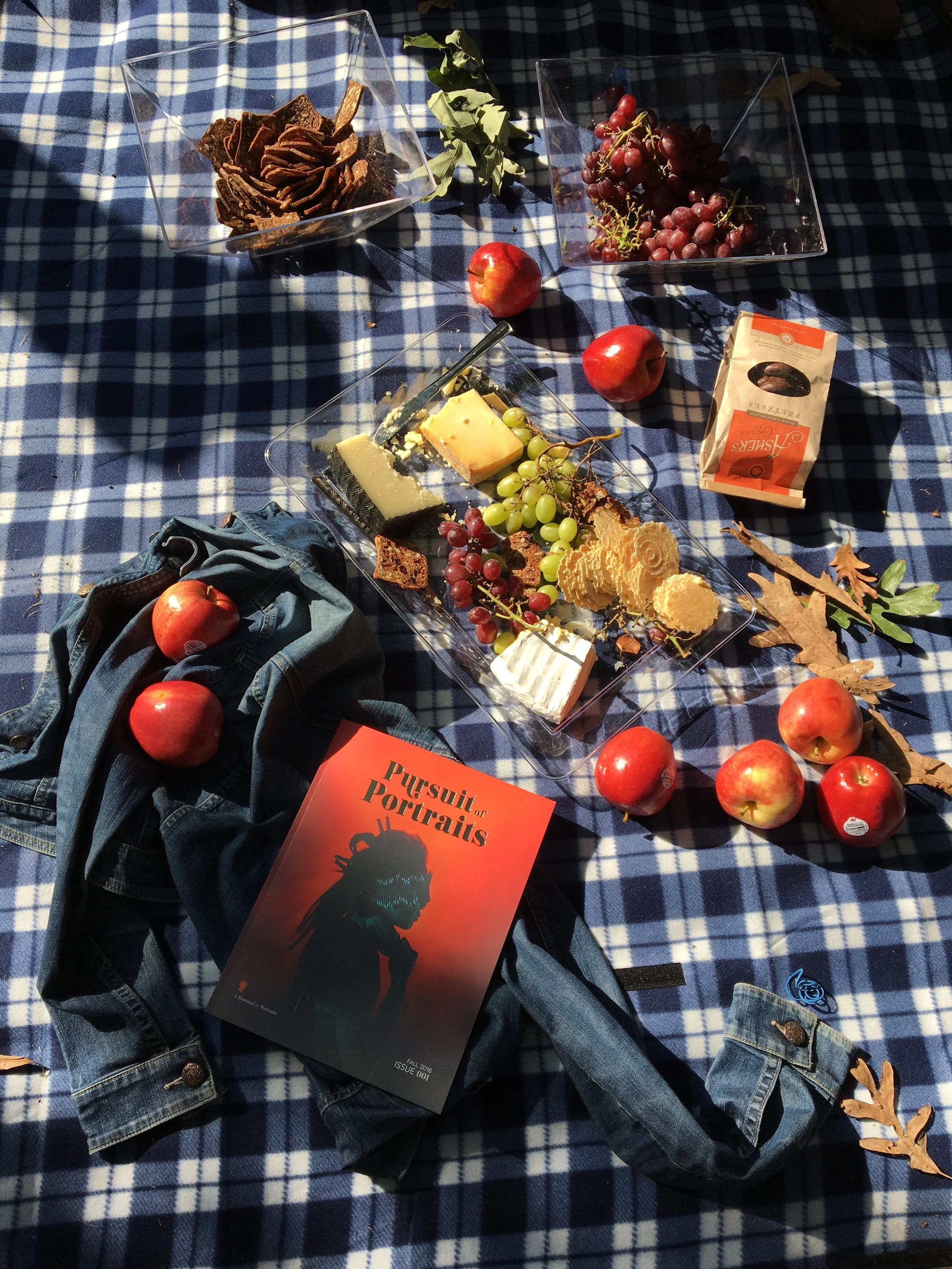 POP LAUNCHES MAGAZINE + HOSTS PICNIC POTLUCK