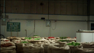 Teaser_3_Giff_001.gif