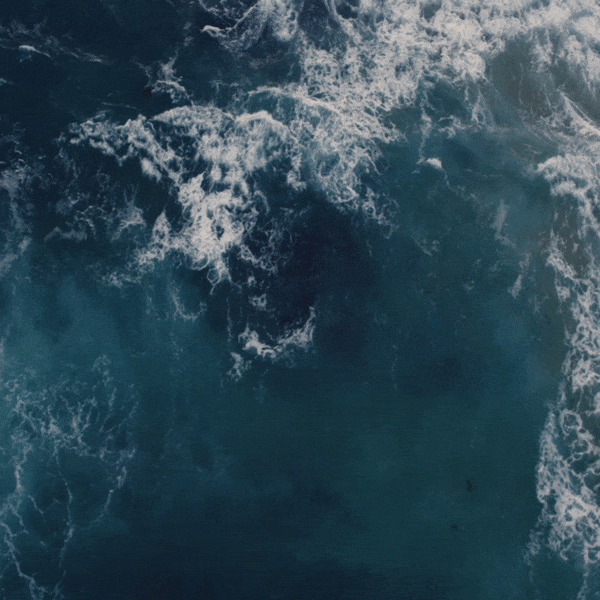 ezgif-5-e6b2bb799f.gif