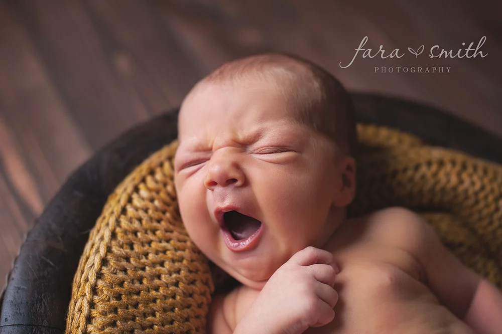 newborn photographer