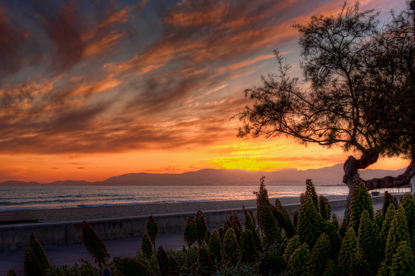 Mallorca-Sunset.jpg
