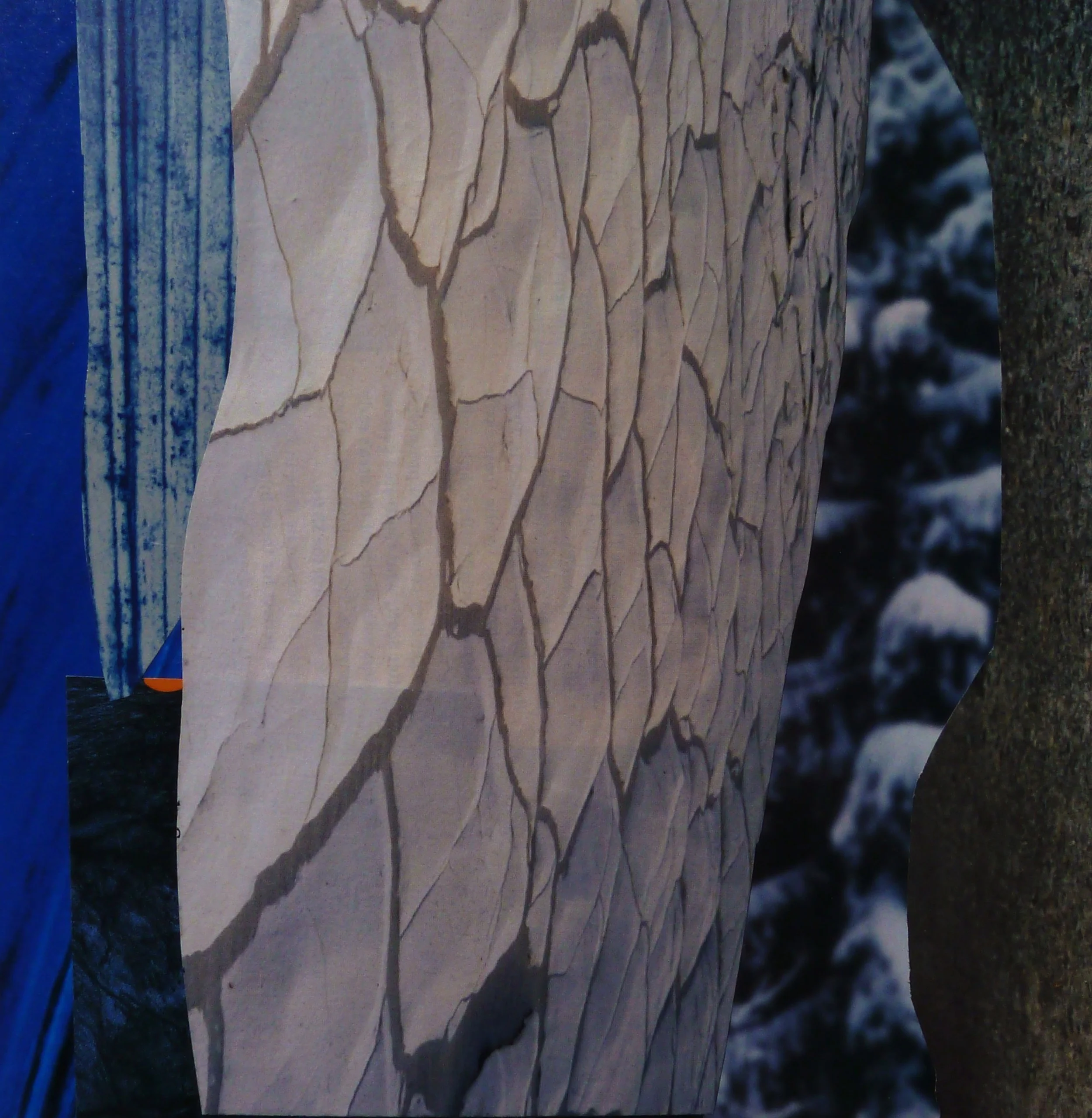 Sidewinder, 2014, Collage, 10 x 9 in..JPG