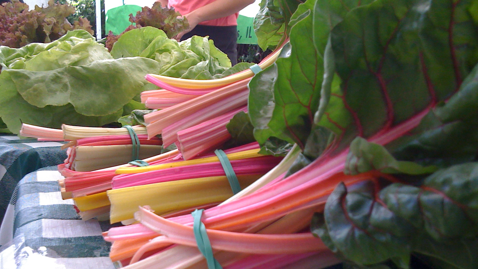 Green City Market Shoot