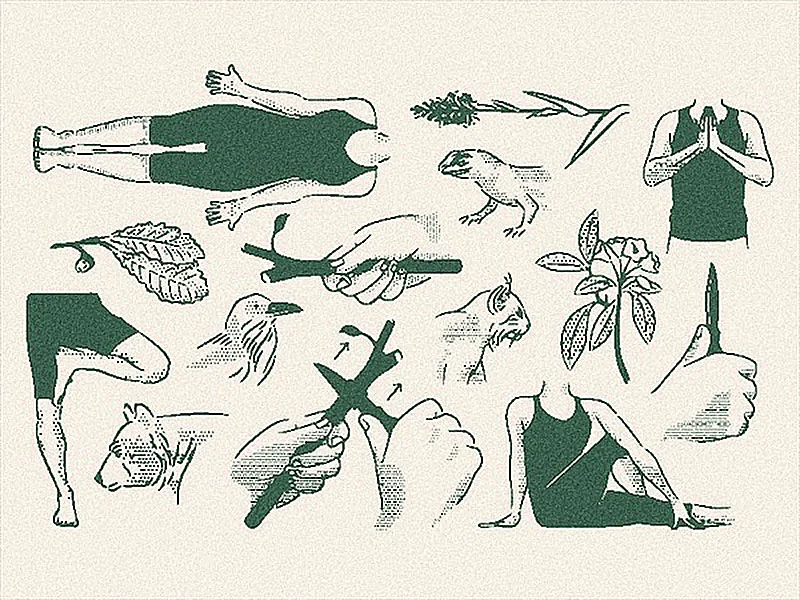 Field-Guide-Dribbble-5.jpg