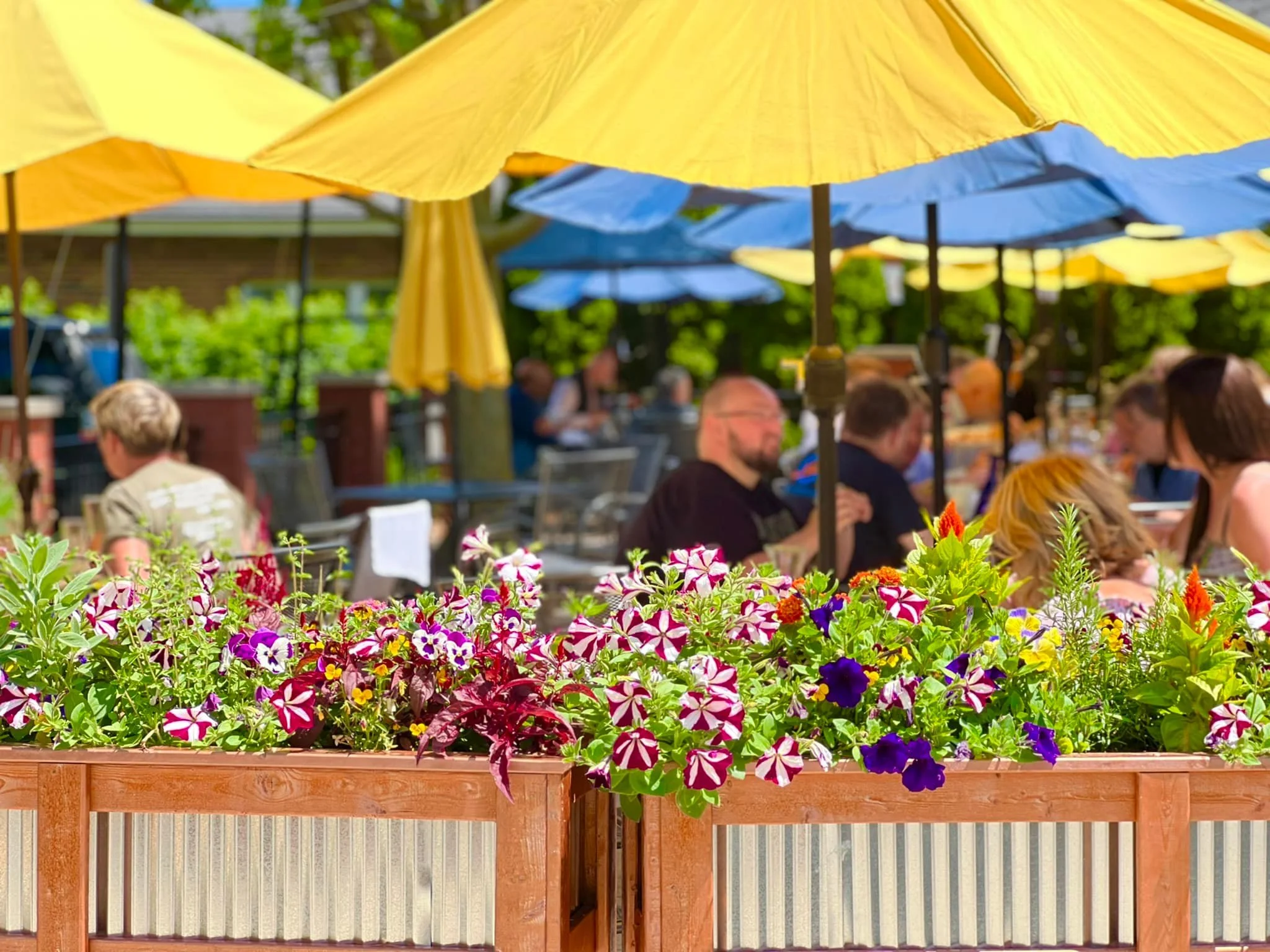 Salt Springs Brewery