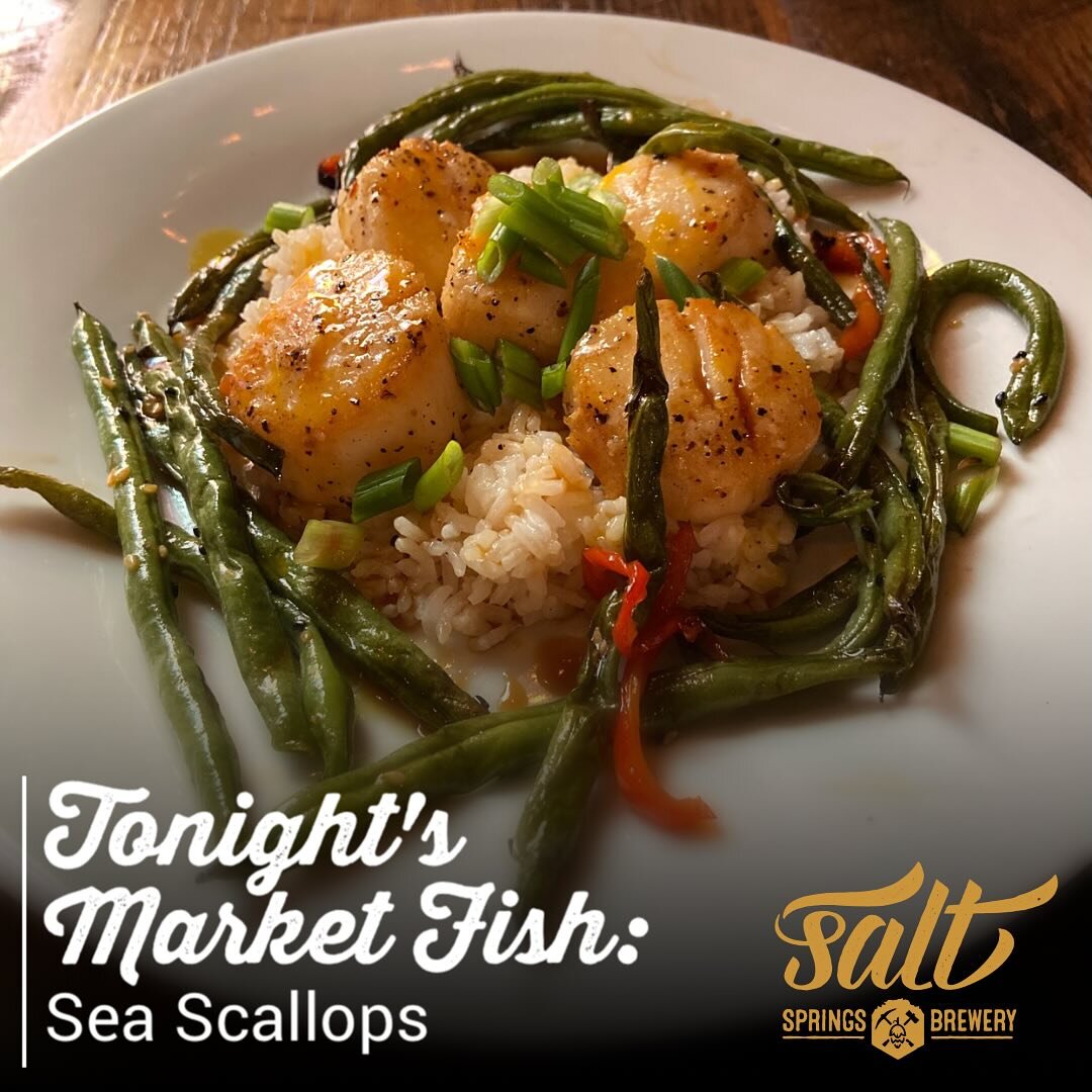 Tonight's market fish: sea scallops!