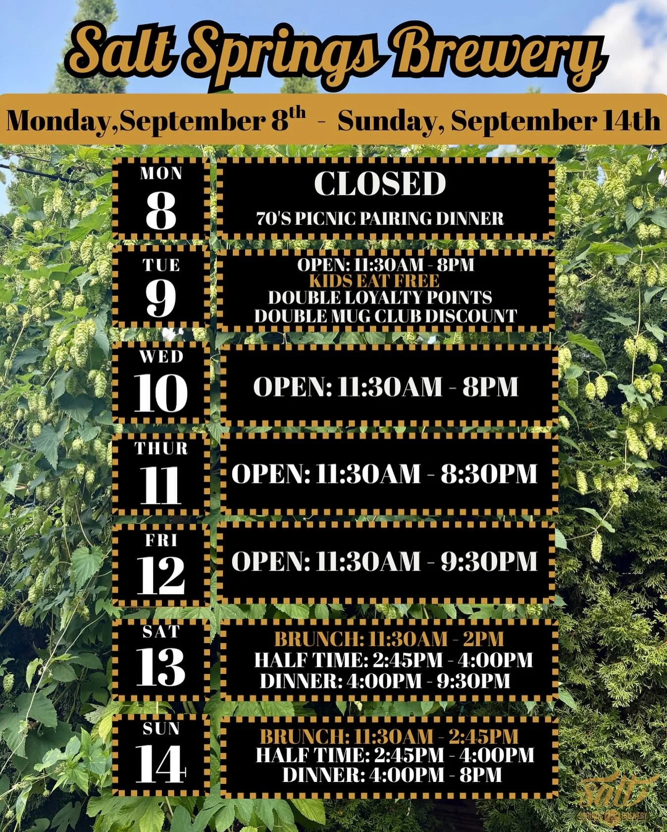 This week at Salt Springs Brewery! 🥳🥳