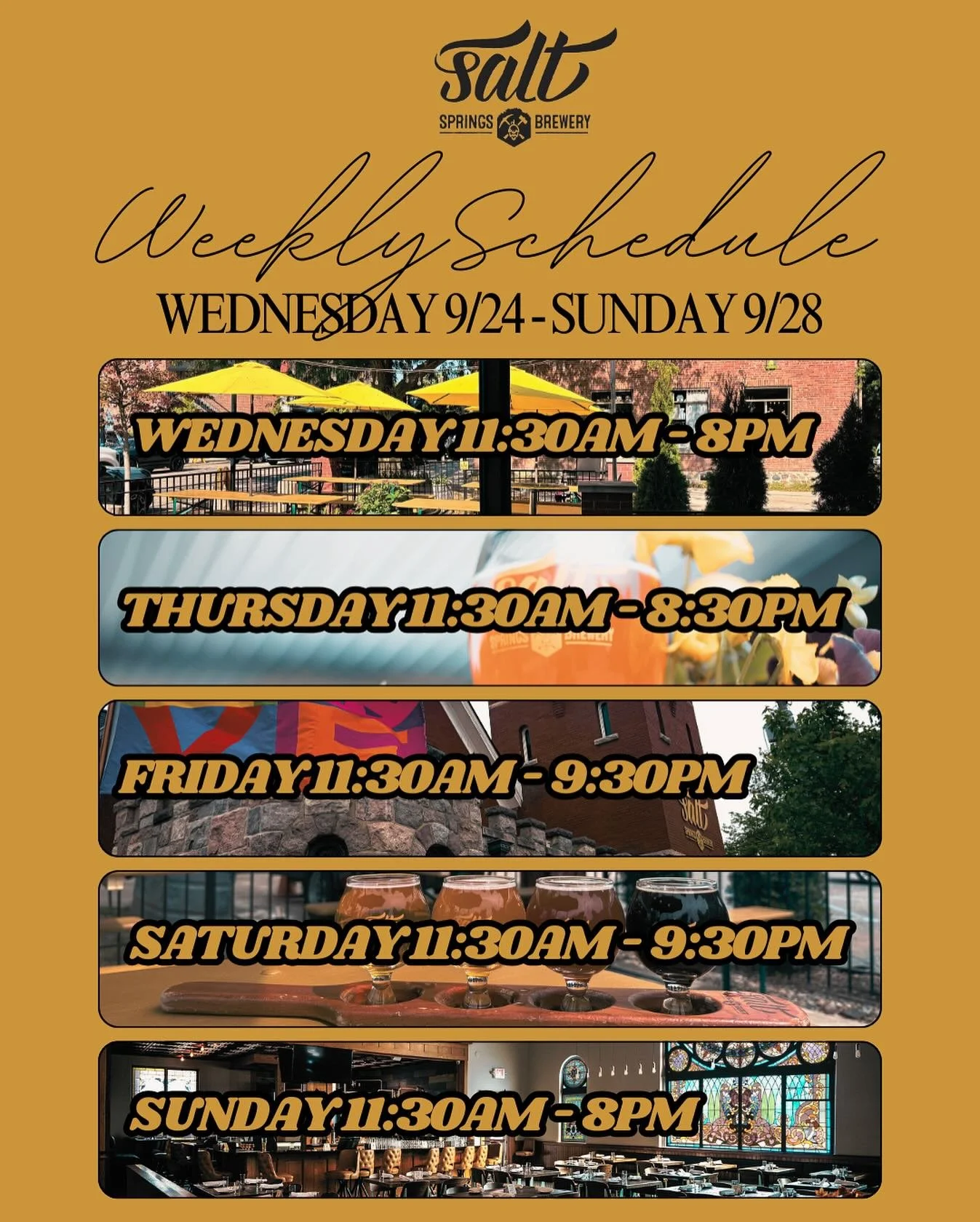 This week at Salt Springs Brewery! ✨
