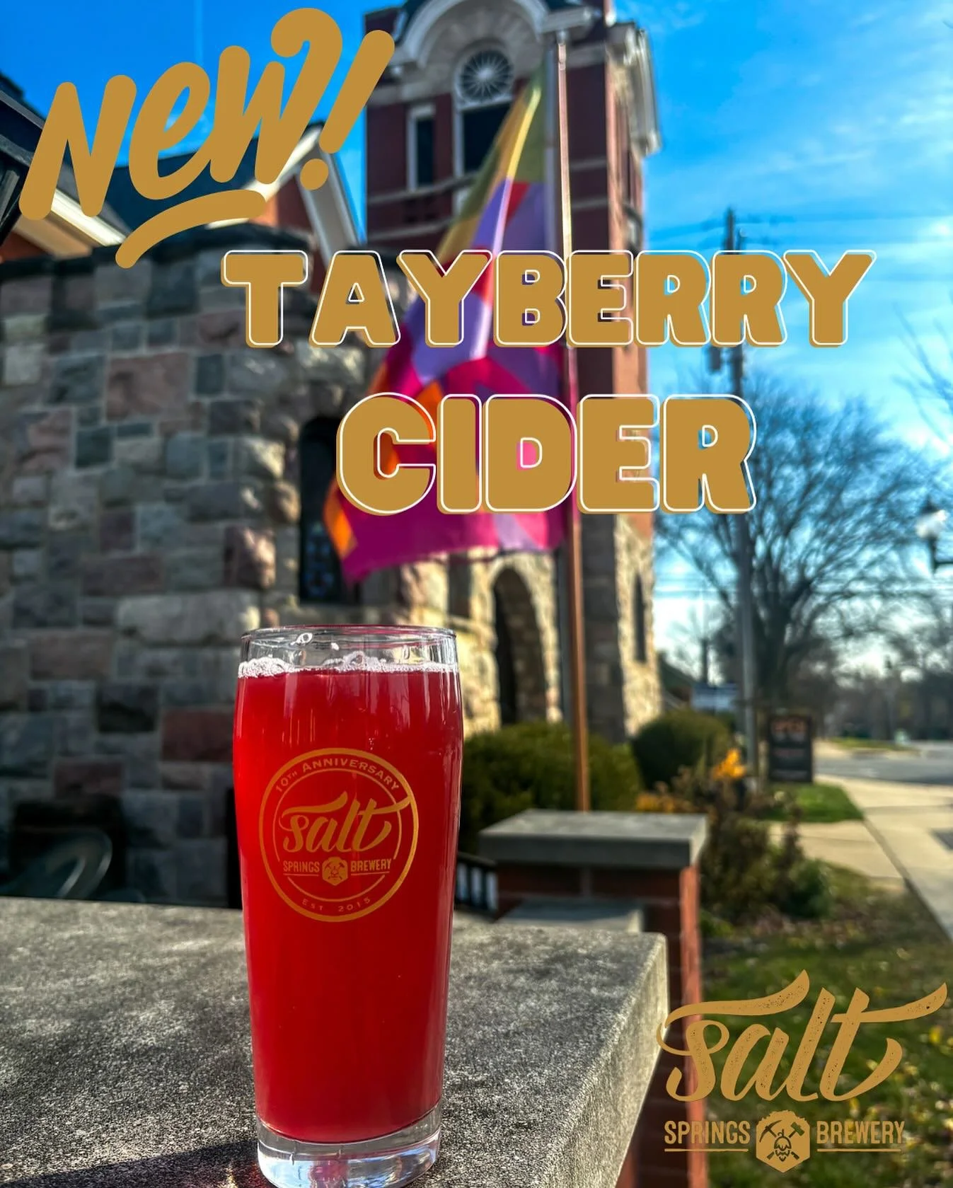 Basking in the sunshine with our **first-ever Tayberry Cider** 🍓🫐✨ 
Dry, tart, and bursting with rich berry depth + floral undertones. A raspberry-blackberry hybrid at 5.6% ABV. 
Cheers to new favorites! 🌞🍻 

#SaltsSpringsBrewery #TayberryCider #