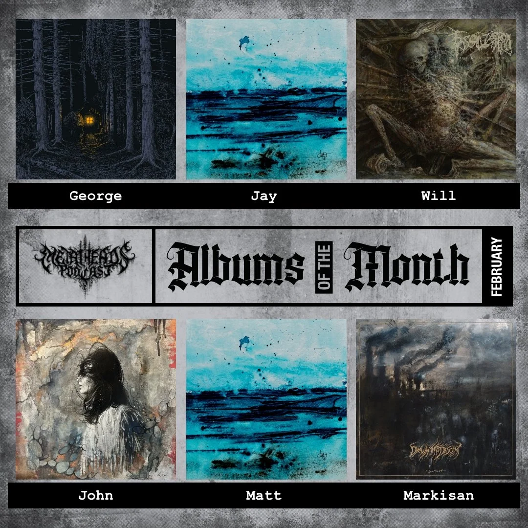 Albums of the Month: February 2026