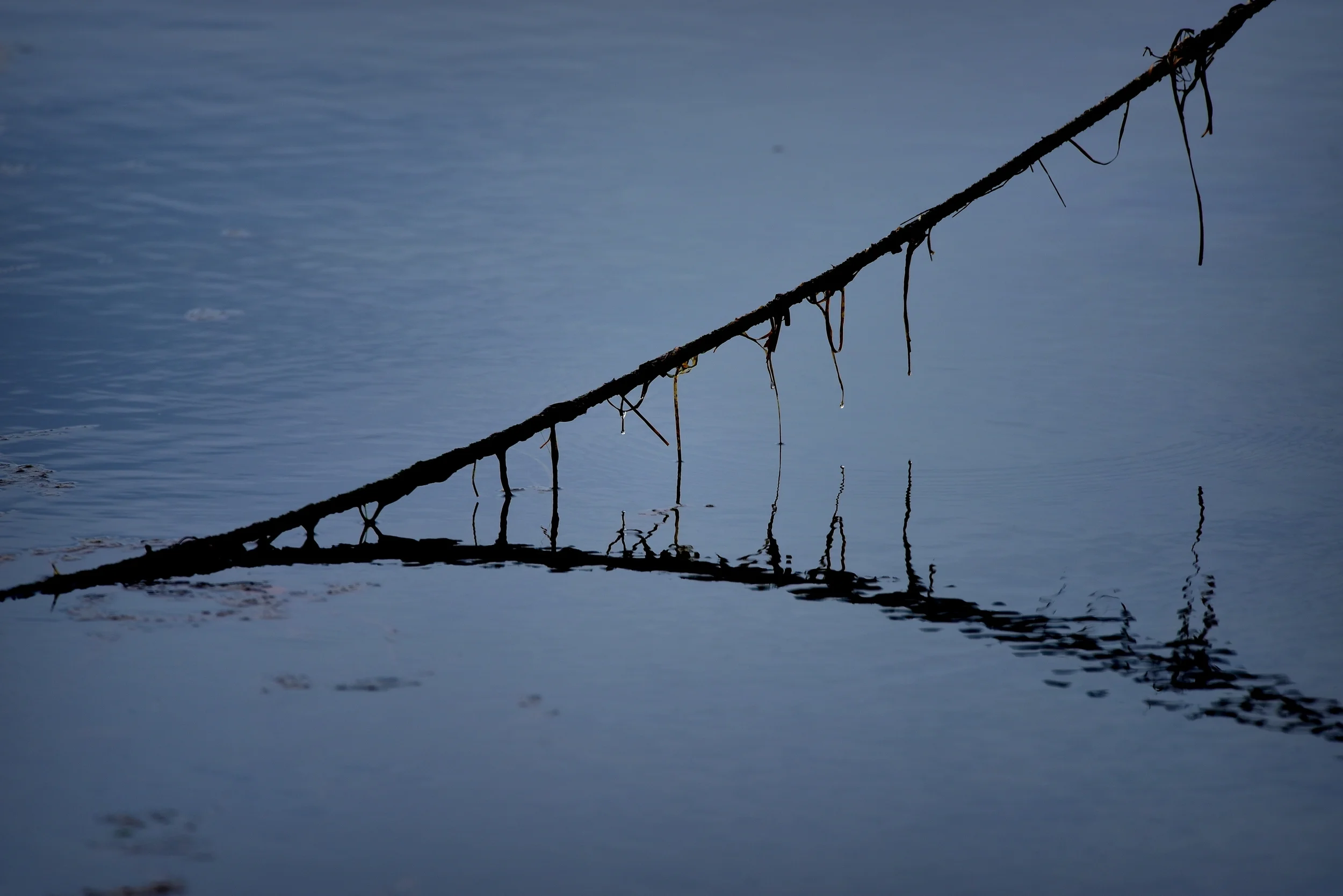 DSC_3170.JPG