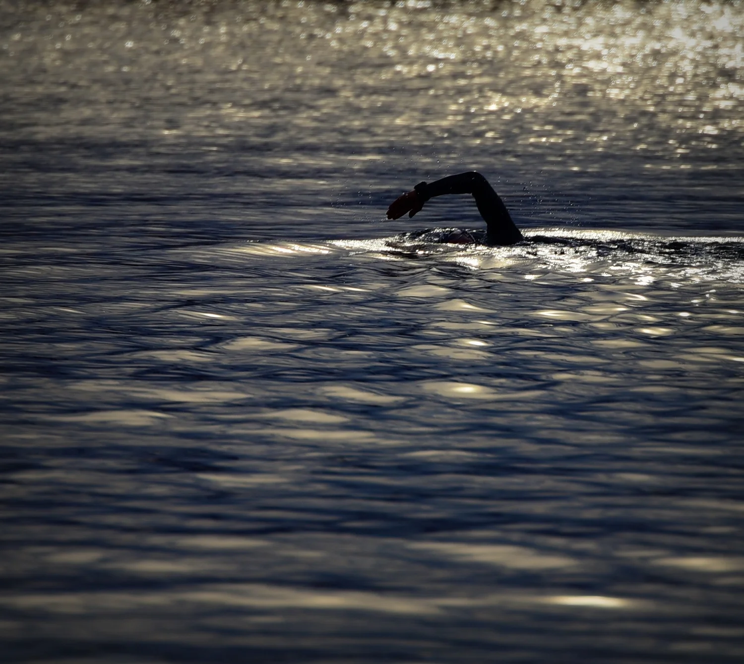 DSC_3190.JPG