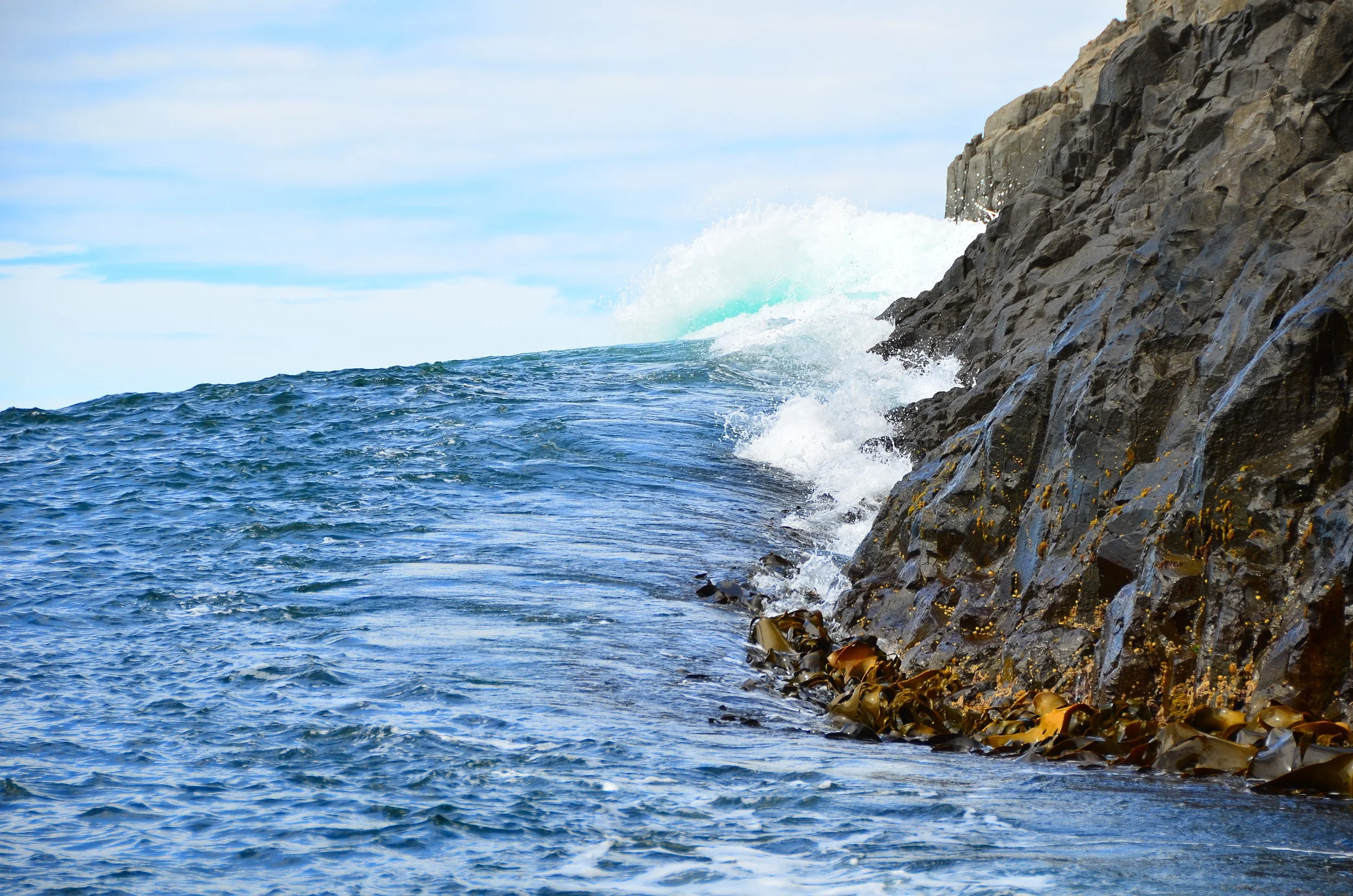 DSC_7063.JPG