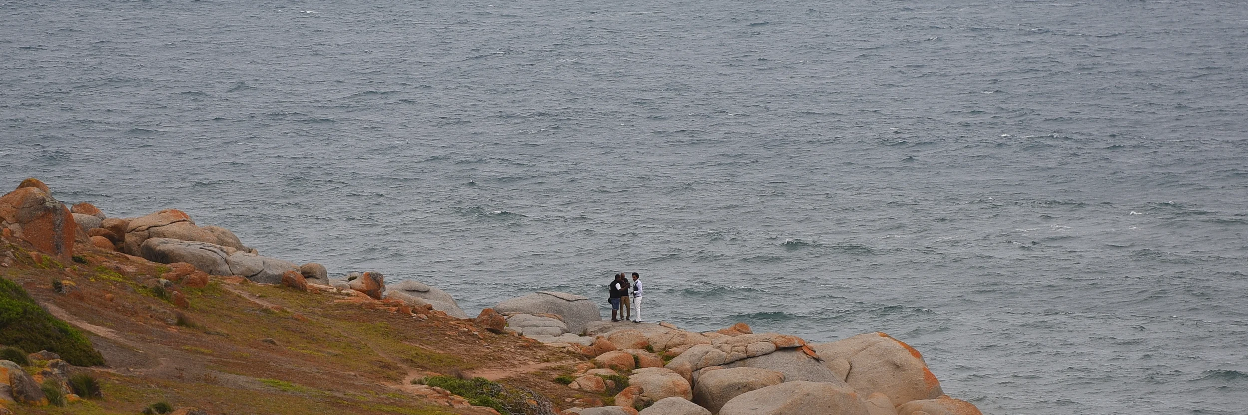 DSC_2929.JPG
