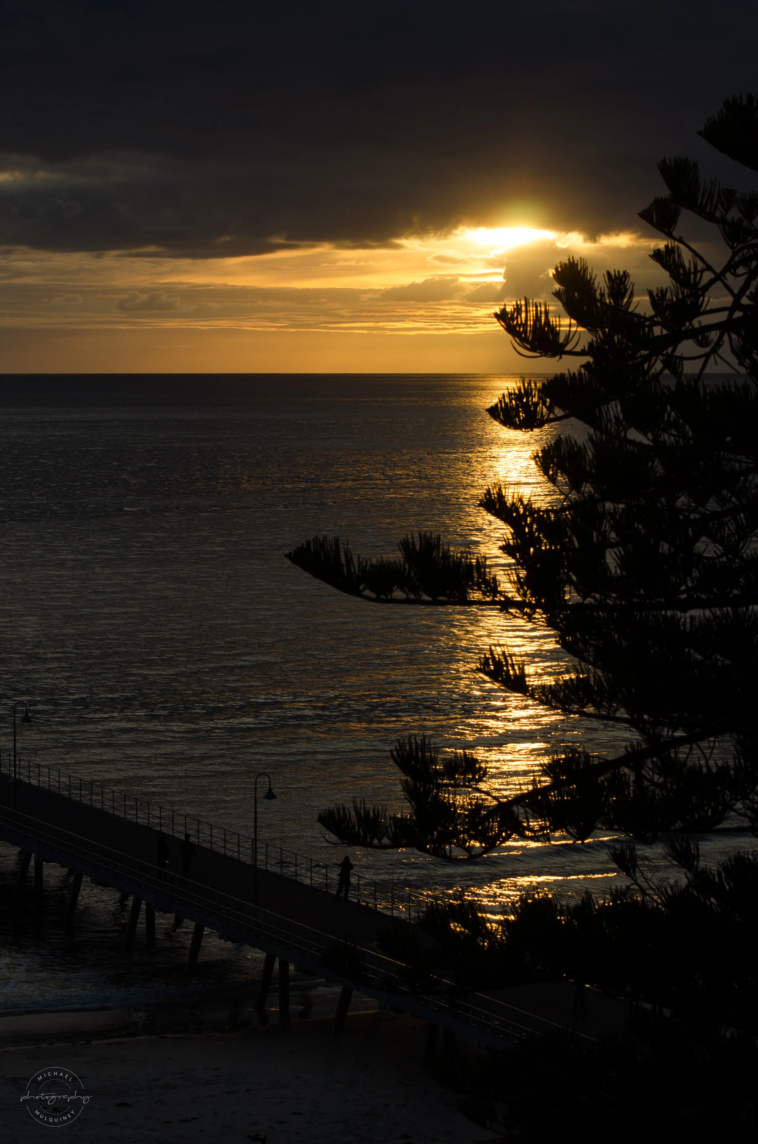 DSC_4082.jpg